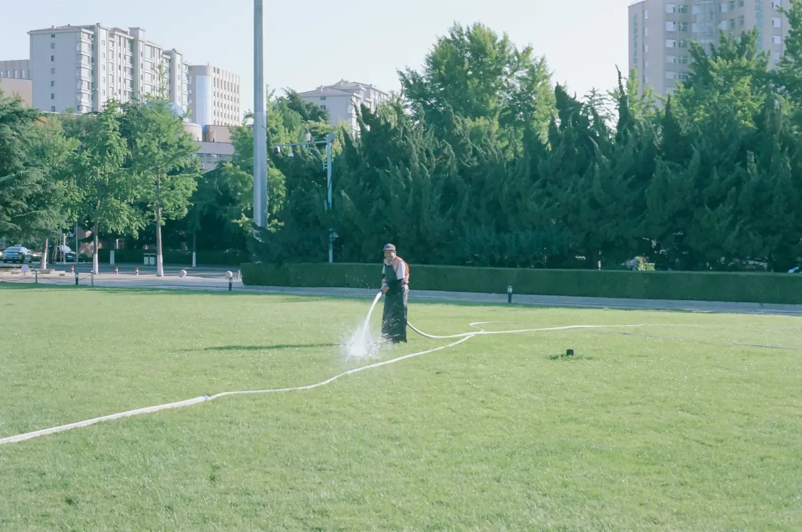 Man watering grass in park