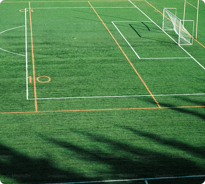 astro turf or artificial turf