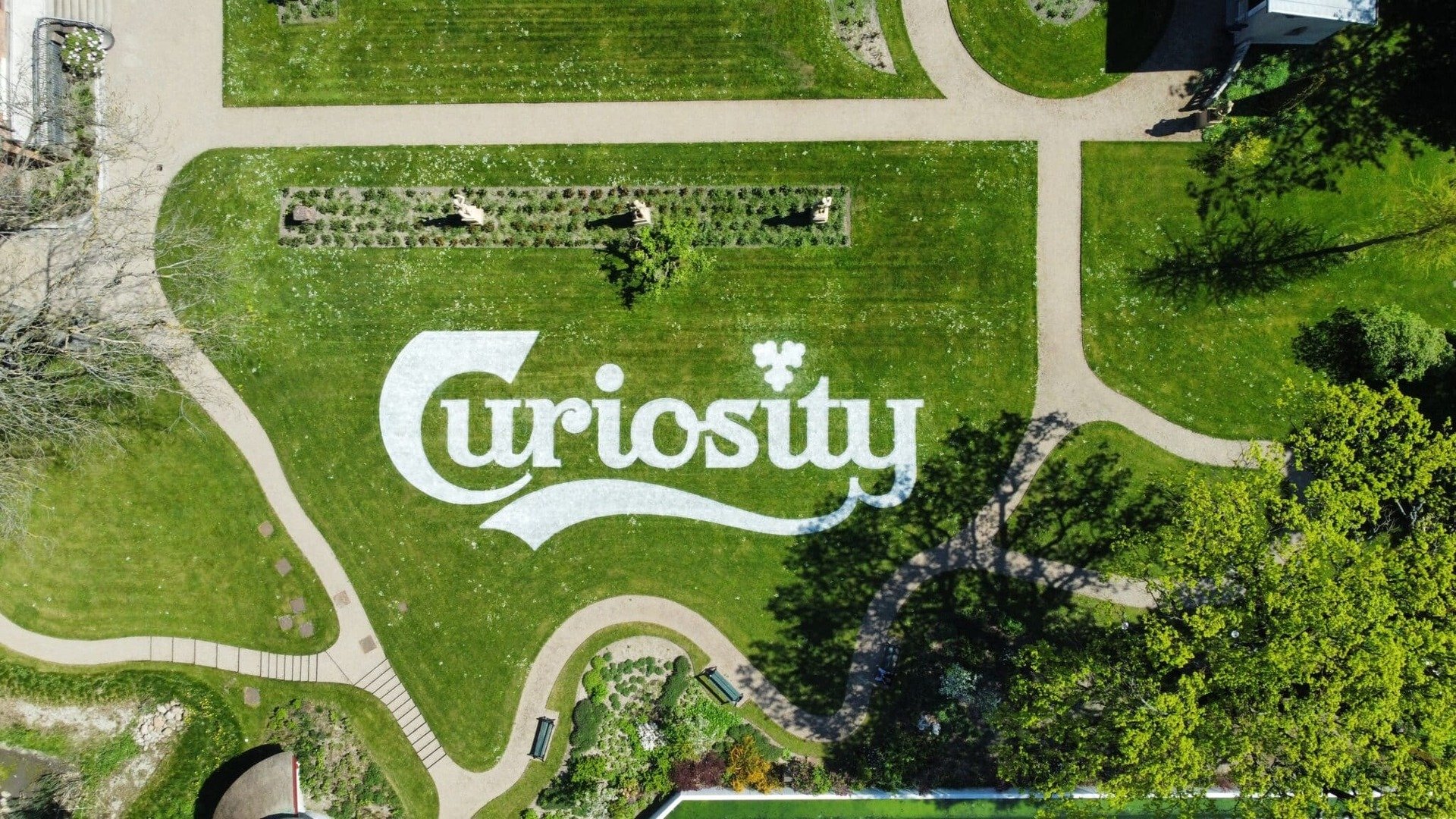 Carlsberg Custom Logo Curiosity scaled
